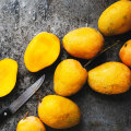 Exploring Latin American Markets in Northern Louisiana